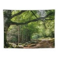 thumbnail image 5 of Shiartex Tapestry For Bedroom Wall Blanket Decor Big Tree Forest Plants Tapestries Hanging Tapiz Tapestrys Room Decor Home Decorations Aesthetic Funny Nature Multi Size Painting, 5 of 6