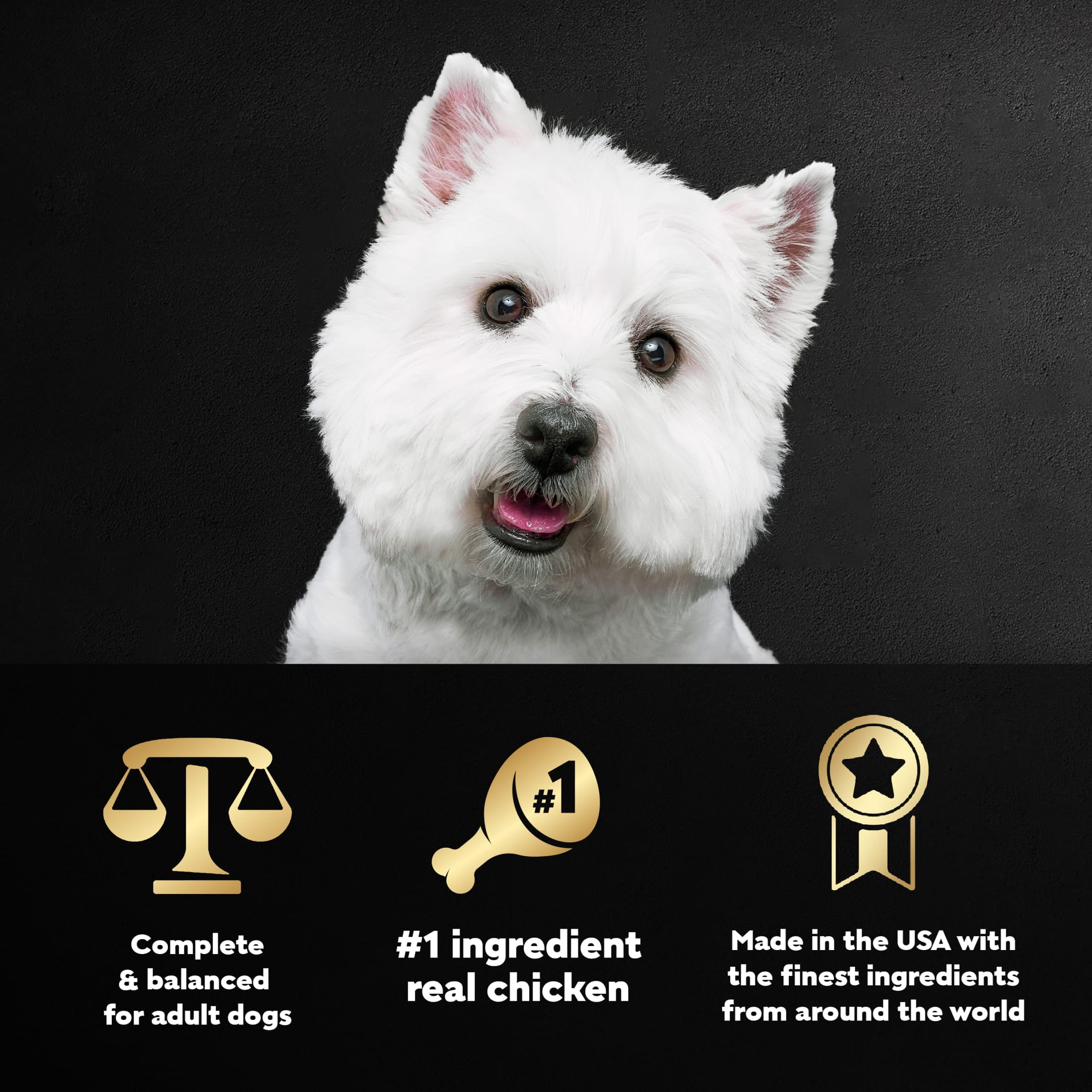 (24 pack) Cesar Filets in Gravy Wet Dog Food, Rotisserie Chicken Flavor, 3.5 oz. Tray