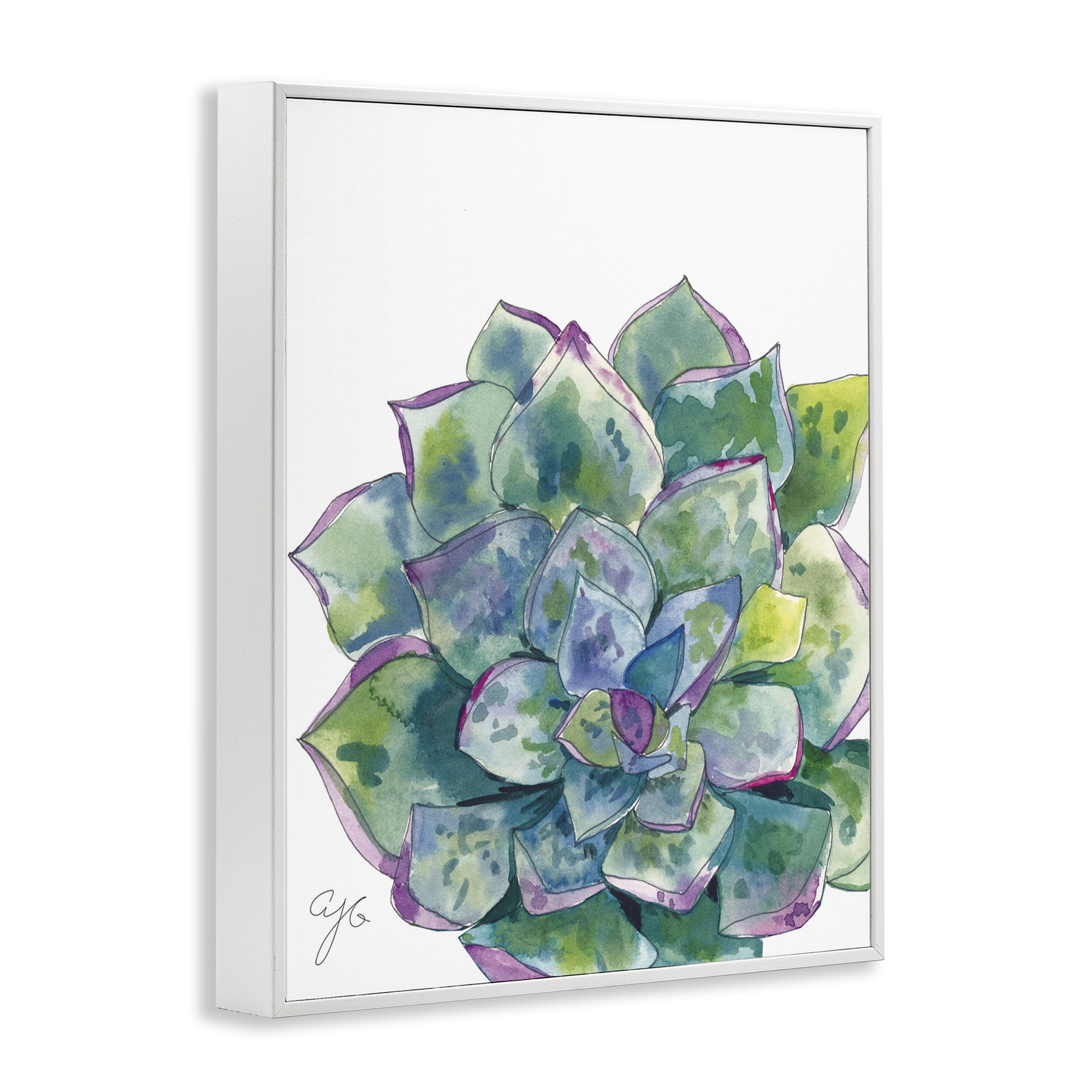 Stupell Industries Abstract Succulent Watercolor Botanical & Floral Painting White Framed Art Print Wall Art, 16 x 20