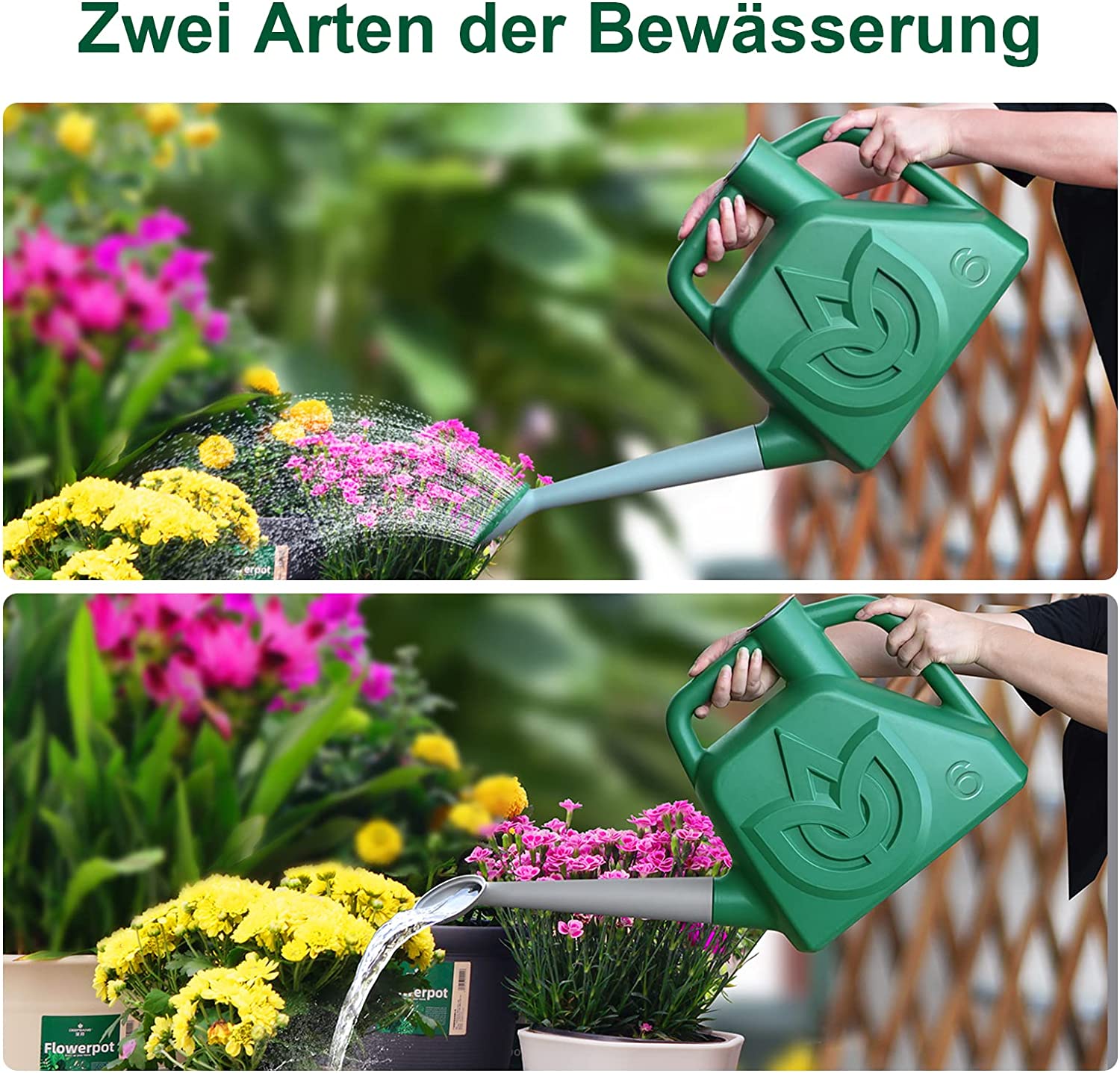Petit Arrosoir Acier Inoxydable 500 Ml – Long Bec, Design Ergonomique, Pour Plantes D’intérieur Et Jardin