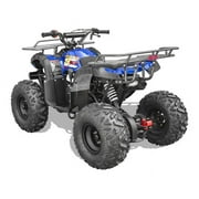 125cc Utility ATV Vitacci Rider 10