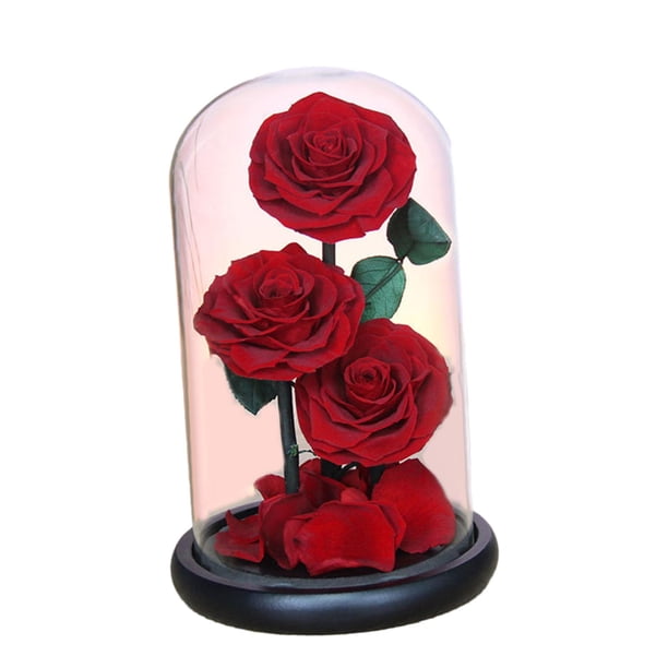 Rosa eterna en cúpula de cristal Decoración para el Día de San Valentín Regalos para el Día de San Valentín Manualidades Estilo D