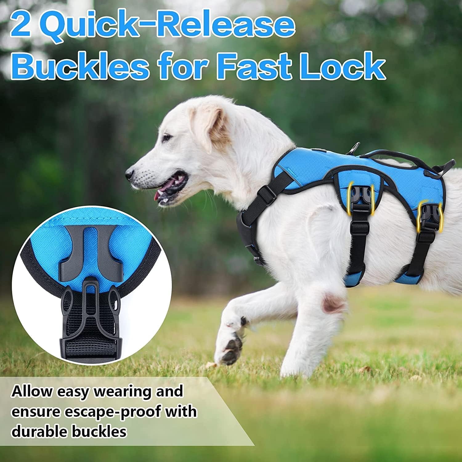 rabbitgoo Escape Proof Dog Harness, Soft Padded Full Body Pet Harness, Reflective Adjustable No Pull Vest with Lift Handle and Lesh Clip for Large Dogs Walking Hiking Training, Blue