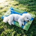 thumbnail image 4 of Tapis pour l'Été, Coussin Épais en PVC Respirant pour Lit 700 ml, 4 of 8