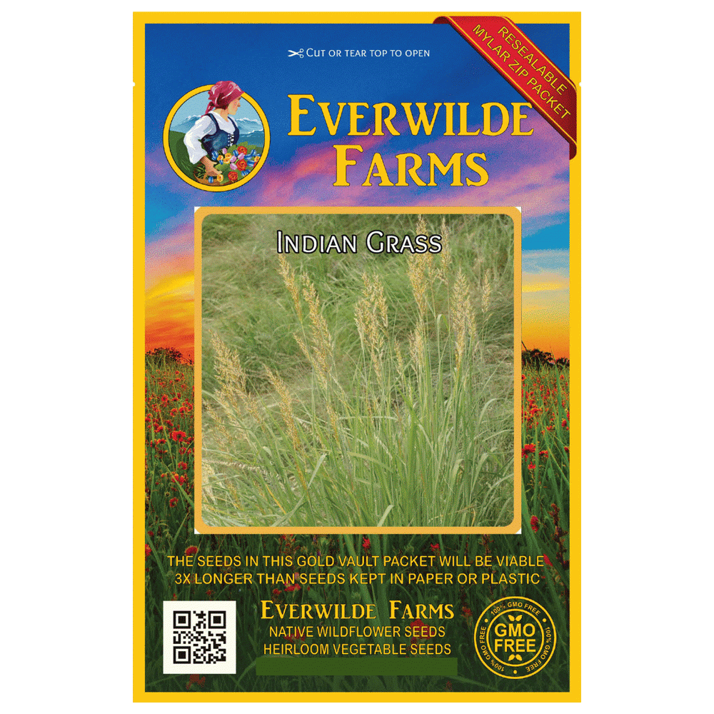 Everwilde Farms 1000 Indian Grass Native Grass Seeds Gold Vault