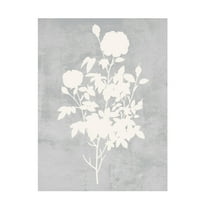 Trademark Fine Art Melissa Wang  Falling Flowers II Canvas Wall Art