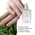thumbnail image 4 of NATURABLOOM Green Drop Dry - Premium Nail Varnish Dryer, 4 of 7