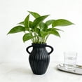 thumbnail image 4 of Uandlove Unbreakable Black Plastic Vase for Pampas Grass Dried Flowers – Modern Boho Farmhouse Tabletop Centerpiece, Shatterproof Small Vase for Coffee Table Desk Shelf Decor, 4 of 6