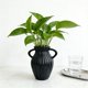 thumbnail image 4 of Jarrón Decorativo de Plástico para Flores Secas y Pampas, Diseño Redondeado Ligero en Negro o Blanco, 8.27x5.51x3.94 pulgadas, Adorno de Mesa para Oficina o Estanterías del Hogar, 4 of 6