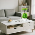 thumbnail image 5 of RKSTN P Lastic Artificial Potted Plant Artificial Green Plants Simulation Potted Home Office Hotel Lobby Decoration Green Plants Home Decoration Artificial Plants, 5 of 5