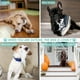 thumbnail image 5 of Pelota de juguete para perros, pelotas ruidosas, juguete para perros, juguete de caucho natural no tóxico, juguete interactivo para perros pequeños y medianos (2 piezas), 5 of 5
