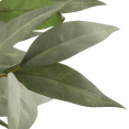 thumbnail image 2 of Bouclair Green Aritificial Eucalyptus Plant in Ceramic Pot, 2 of 4
