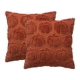 thumbnail image 1 of veasfak 2x Housses de Coussin Citrouille Hôtel 45x45cm Décoratives Lit Automne Housse de Coussin Rouge Rouille, 1 of 9