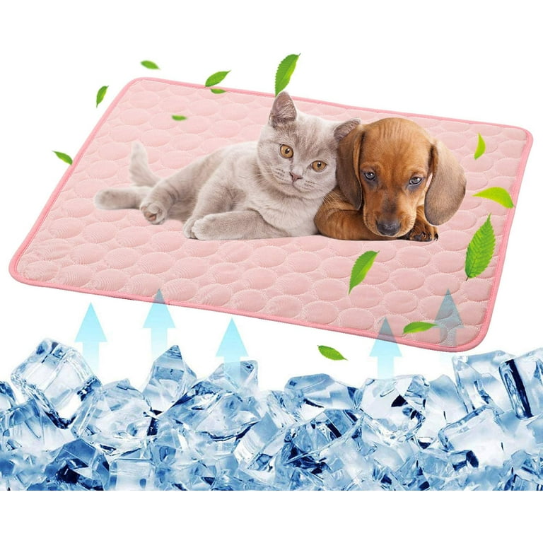 Cool pad 2024 for cats