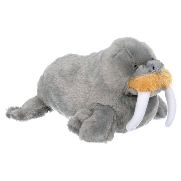 Webkinz walrus hotsell