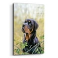 thumbnail image 2 of Epic Art 'Rottweiler Spirit Of Loyalty' by John Silver, Acrylic Glass Wall Art, 16"x24", 2 of 8