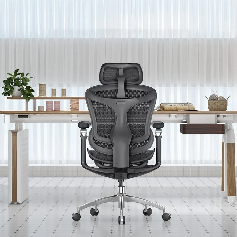 Sihoo Doro C300 Pro Ergonomic Office Chair, Adjustable Lumbar