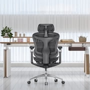 SIHOO Doro C300 Pro Ergonomic Chair Dual Seat Back Support Wide Deep Seat Computer Chair with Dynamic Lumbar Support-Black