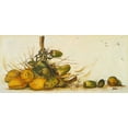 thumbnail image 2 of Pinto, Patricia 14x9 White Modern Wood Framed Museum Art Print Titled - Racimo de Cocos III, 2 of 4