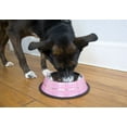 thumbnail image 2 of Iconic Pet 2-Pack Color Splash Stripe Non-Skid Pet Bowl, For Dog or Cat, Pink, 24 Oz, 3 Cup, 2 of 7