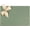 Champagne, variant on Rose Gold Stretch Loops with Pre Tied Bows 10" Pink Elastic Gift Bows Stretch Cord Elastic Ribbon for Gift Boxes Party Favors Wedding Baby Shower (24 Pack)