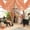 C-3C-clearacne, variant on Dyegold Halloween Gauze Fabric Spooky Creepy Cheesecloth Decoration for House Doorway Porch Party Indoor Outdoor Atmosphere Supplies
