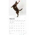 thumbnail image 3 of Chocolate Labrador Retrievers | 2024 12x24" (Hanging) Wall Calendar | BrownTrout, 3 of 8