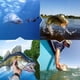 thumbnail image 5 of Señuelo de natación de 5 uds., segmento articulado múltiple, cebo duro realista 3D, anzuelos de pesca, cebo Artificial, cebo Wobbler, 5 of 7