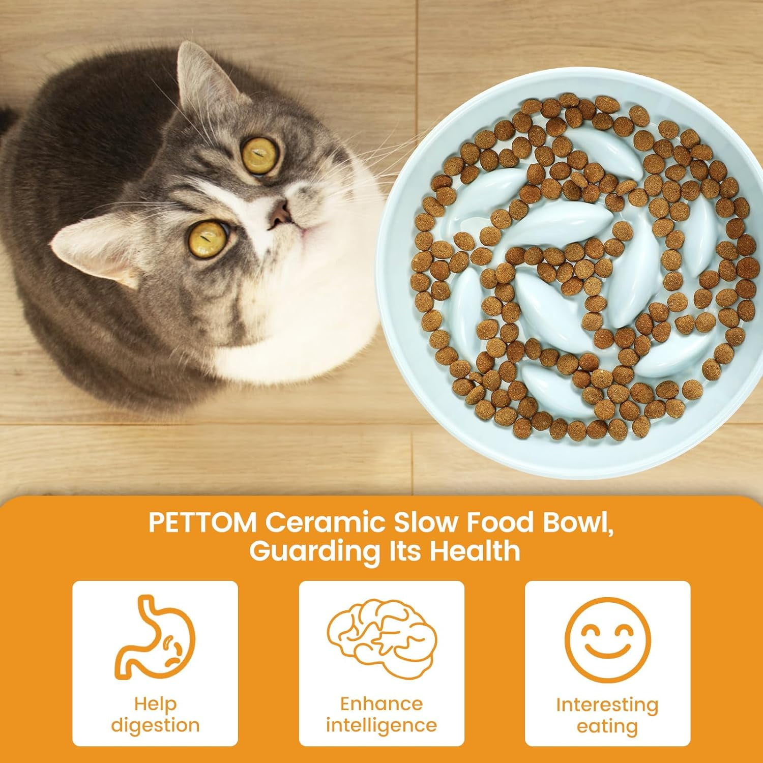 2PC Slow Feeder Cat Bowl with Stand, Ceramic Slow Eating Cat Bowl with Higher Edges Fish Pool Design Elevated Cats Food Bowls for Dry and Wet Food Anti-Vomiting Puzzle Feeder for Healthy Eating Diet