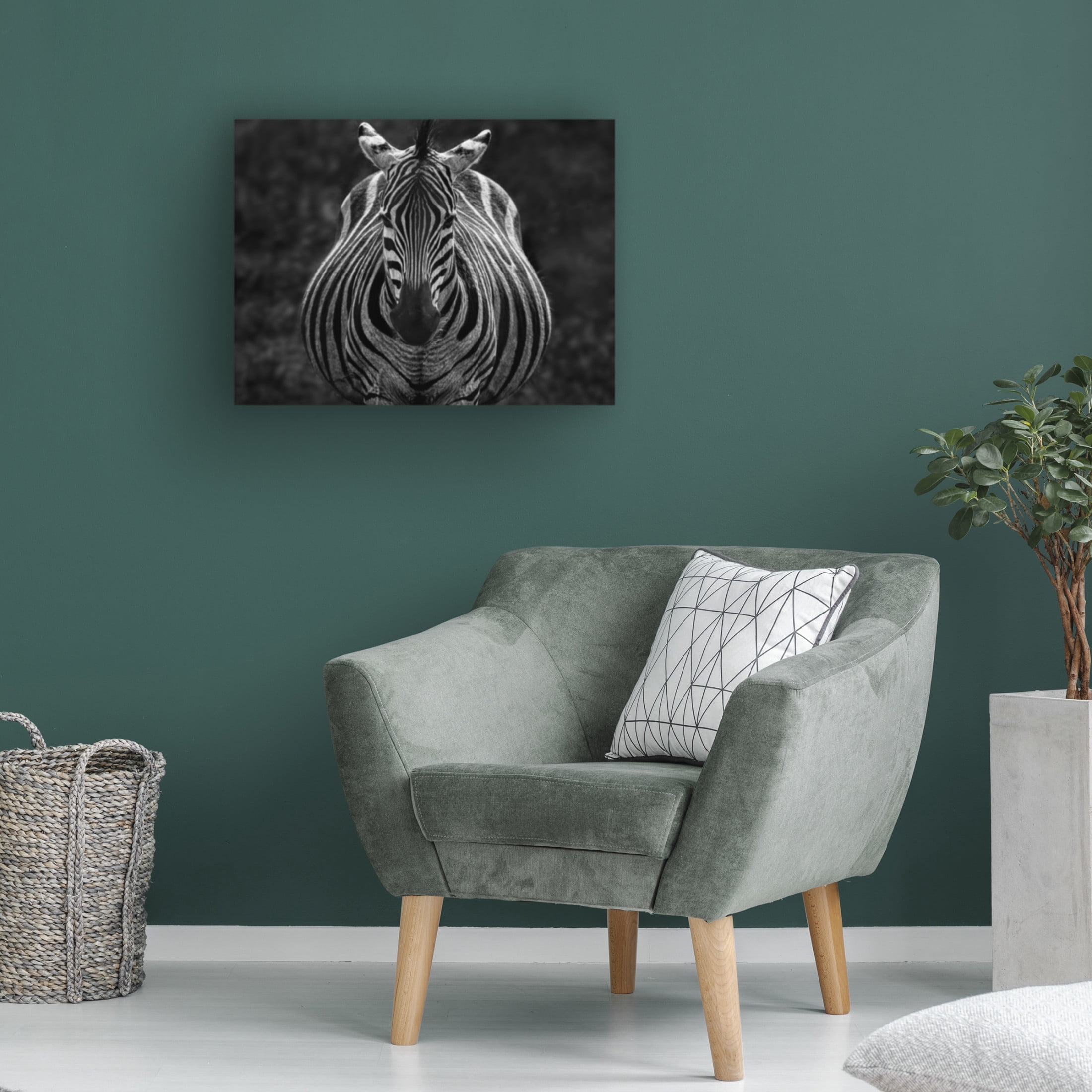 Trademark Fine Art Jiong Chen Stare Canvas Wall Art
