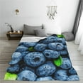 thumbnail image 5 of Bingfone Fresh Blueberries Print Flannel Fleece Blanket Throw Blanket for Bed,Sofa,Couch,Travel,Camping(50"x40" ), 5 of 8