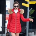 thumbnail image 1 of Versión coreana de invierno de la chaqueta acolchada de algodón larga y delgada para mujer, chaqueta acolchada de algodón con cuello de piel grande y plumón para mujer, 1 of 6