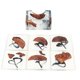 thumbnail image 1 of Posavasos Ecológicos, Tapete Para Bebidas, Práctico Para La Cocina Del Hogar Higoodz Drink Coasters, 1 of 8
