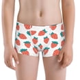 thumbnail image 5 of Yiaed Strawberries Print Boys' Boxer Briefs Cotton Casual Stretch Comfort Boys Boxers - Kids Boxer Briefs Underwear for Boys (6-18)-XX-Small, 5 of 5