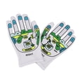 thumbnail image 2 of 2 uds. Guantes de aprendizaje de ciencias, suministros multifuncionales, modelo de enseñanza para la enseñanza de la educación, demostración de, 2 of 9