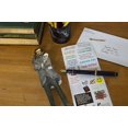 thumbnail image 4 of Edgar Allan Poe Quotable Notable - Greeting Card and Sticker Sheet - Envelope Included, 4 of 6