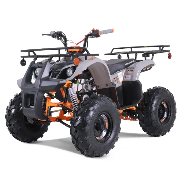 TaoTao T-Force 110cc Fully Automatic Mini Utility ATV