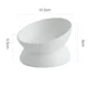thumbnail image 5 of Cuencos elevados para gatos y perros pequeños, plato de alimentación de alimentos elevado con inclinación de 15°, soporte de cerámica, comedero para gatos y cachorros, 6 colores, 5 of 5
