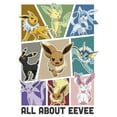 thumbnail image 2 of Men's Pokemon All About Eevee Eeveeloution  Tank Top White 2X Large, 2 of 4