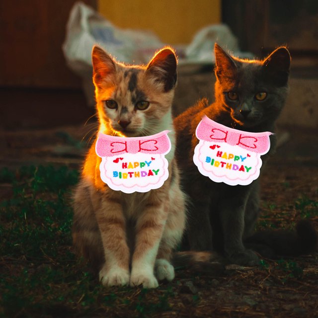 FESTFENDS Accesorio Para Mascotas Pañuelo Rosa De Y Fácil De