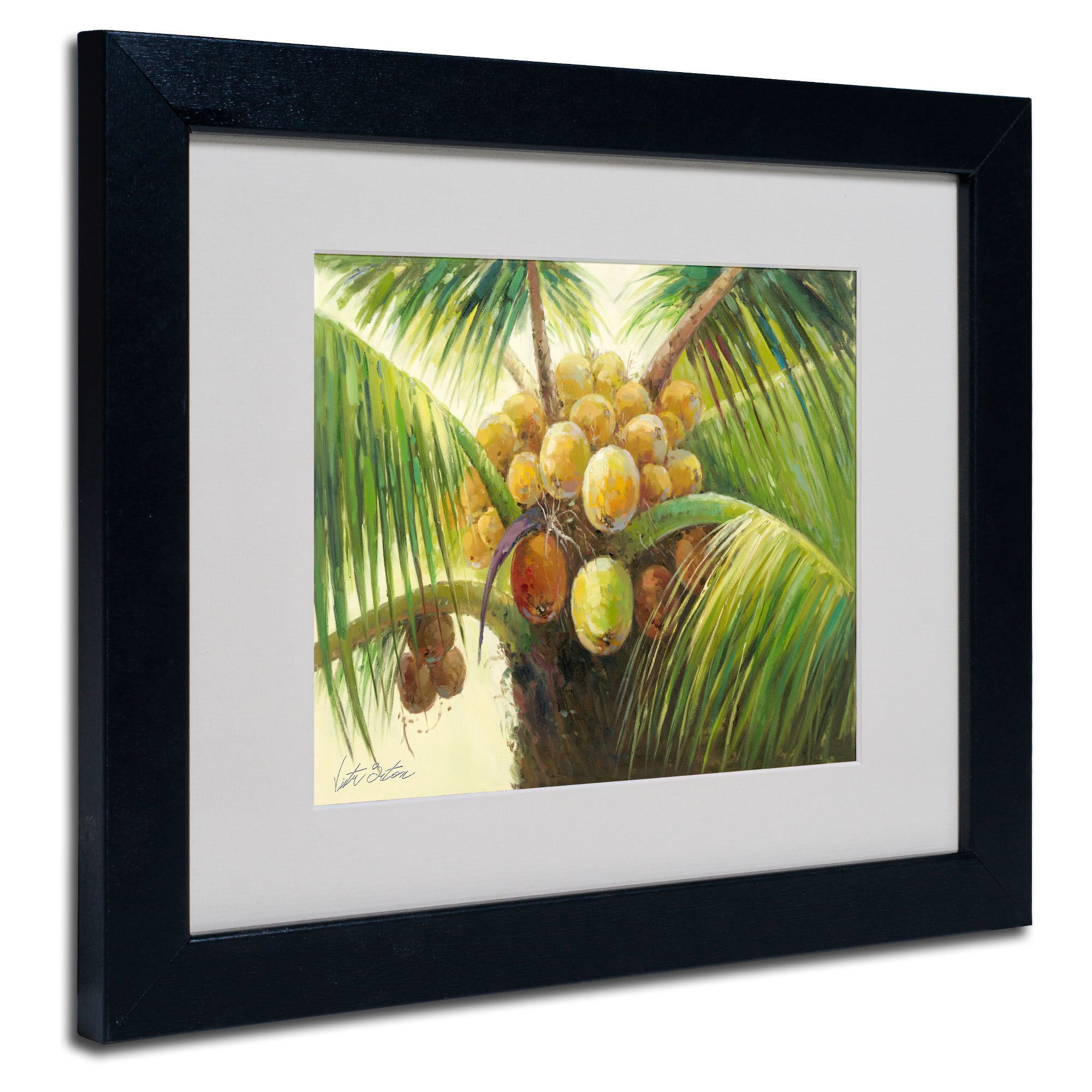 Trademark Fine Art "Coconut Palm II" Canvas Art by Victor Giton, Black Frame