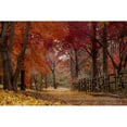 thumbnail image 3 of Allen, Kimberly 18x13 Black Modern Framed Museum Art Print Titled - Autumn Stroll, 3 of 5
