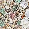 thumbnail image 3 of WFPLUS 200+pcs Sea Shells Mixed Ocean Beach Seashells, Various Sizes Natural Seashells Starfish for Fish Tank, Home Decorations, Beach Theme Party, Candle Making, Wedding Decor, DIY Crafts, 3 of 4