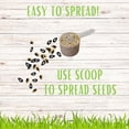 thumbnail image 5 of Flawn Seed Micro Clover Seed Plus Low Mow Grass Seed, Eco-Friendly, Low Growing, Low Maintenance, Kraft Zipper Pouch w/Easy Spread Scoop, Covers Up to 1000 sqft, 5 of 11