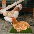 thumbnail image 4 of IFANLANDOR 3Pcs Chicken Nest Box Cushion Stable Base for Egg Laying, 4 of 6