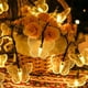 thumbnail image 1 of Cadena de luces LED, cadena de luces de cristal grande alimentada por energía solar, luz de colores con forma de mariposa e insectos, luz decorativa de colores a prueba de agua, 1 of 5