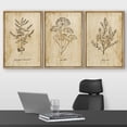 thumbnail image 2 of wall26 Framed Canvas Print Wall Art Set Vintage Retro Plant Herb Seasonings Nature Floral Illustrations Modern Art Rustic Botanical Relax/Calm for Living Room, Bedroom, Office - 24"x36"x3 N, 2 of 5