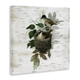 thumbnail image 2 of Stupell Industries Cottage Birds in Vintage Nest Canvas Art, 17 x 17, by Susan Arnot, 2 of 7