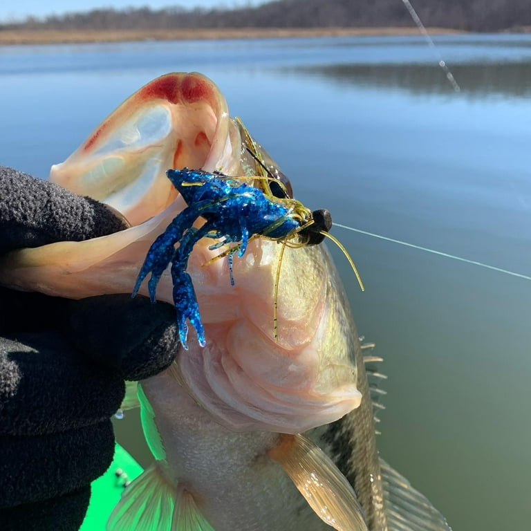 daiwa caldia z reel Ray - New Daiwa Caldia Z Spin Reels