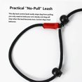 thumbnail image 3 of Typpkmm Training Dog Choking Rope Leash with 1 Lead Collar 150cm P-Shaped Chain 2 in, 3 of 7